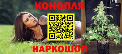 дмт Тула