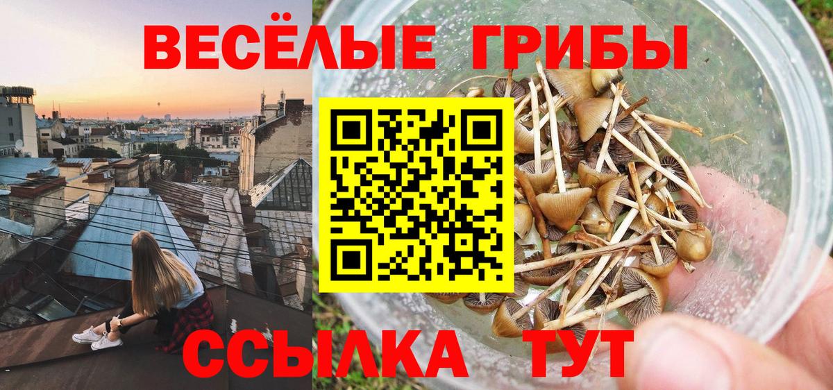 Астрахань  как найти   Вход с VPN  Псилоцибиновые грибы MAGIC MUSHROOMS 